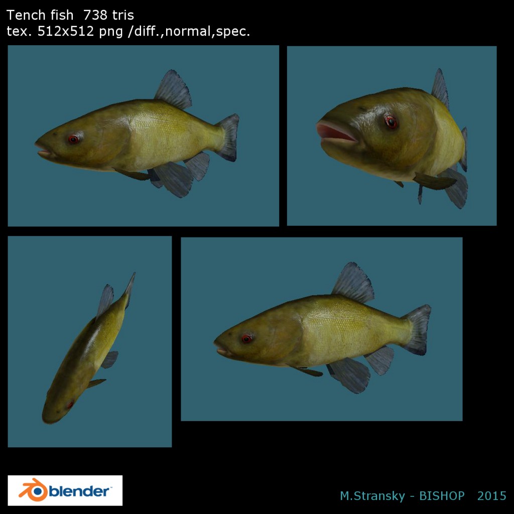 Tench fish preview image 1